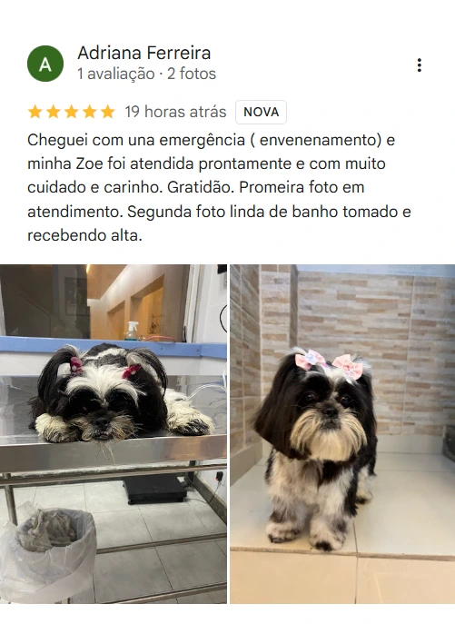 Avaliação real de tutor no Google