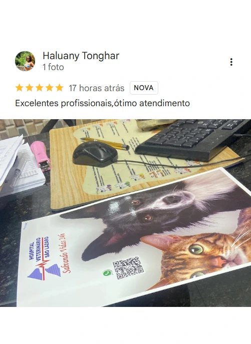 Avaliação real de tutor no Google