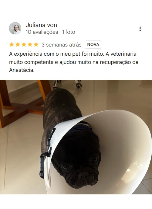 Avaliação real de tutor no Google