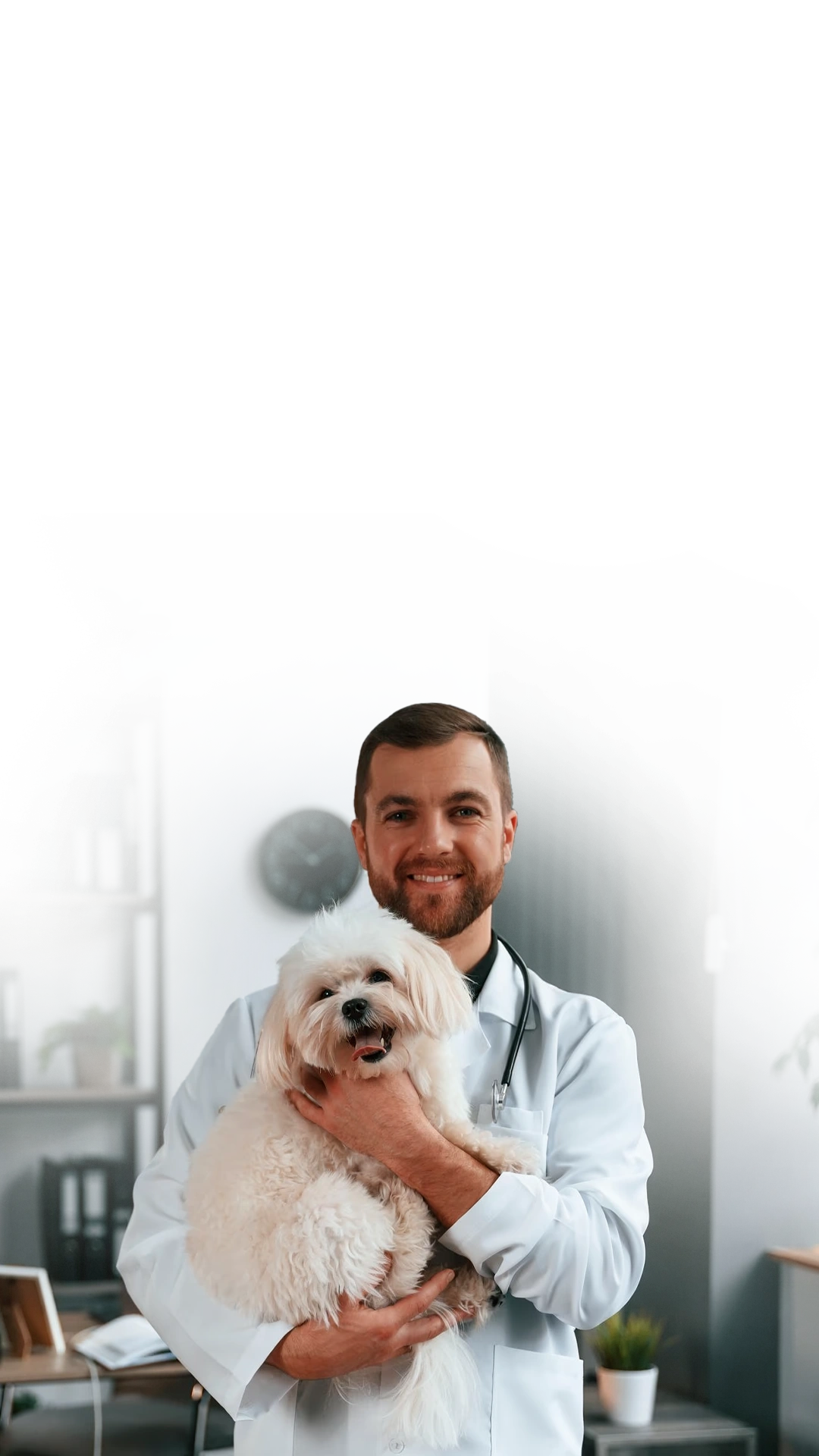 Equipe do Hospital Veterinário São Lázaro com um pet